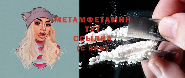 шишки Белоозёрский
