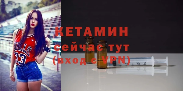 шишки Белоозёрский