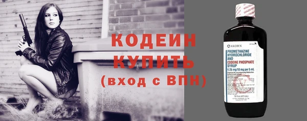 шишки Белоозёрский