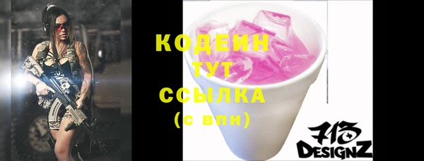 индика Бородино