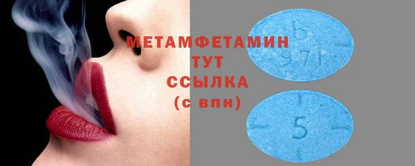 шишки Белоозёрский