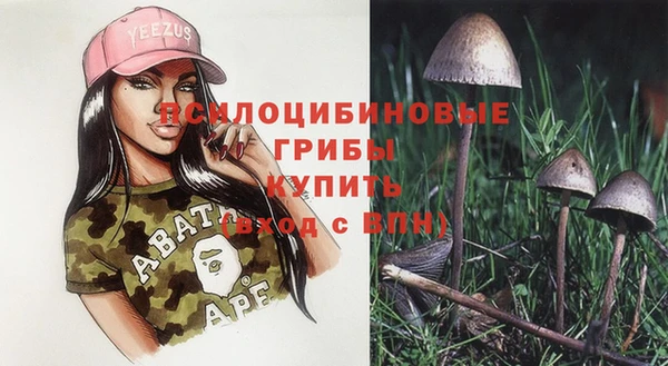 не бодяженный Богородск
