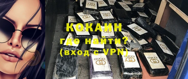шишки Белоозёрский