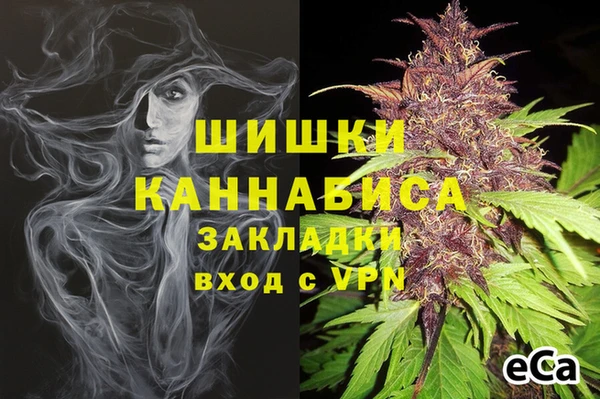 шишки Богданович