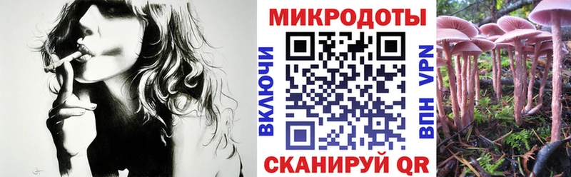 Псилоцибиновые грибы ЛСД  ссылка на мегу tor  Балахна  где можно купить  