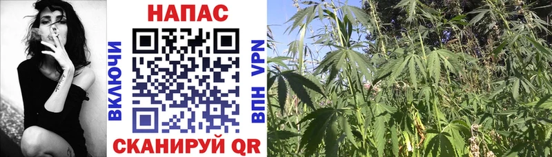 МАРИХУАНА THC 21% Балахна